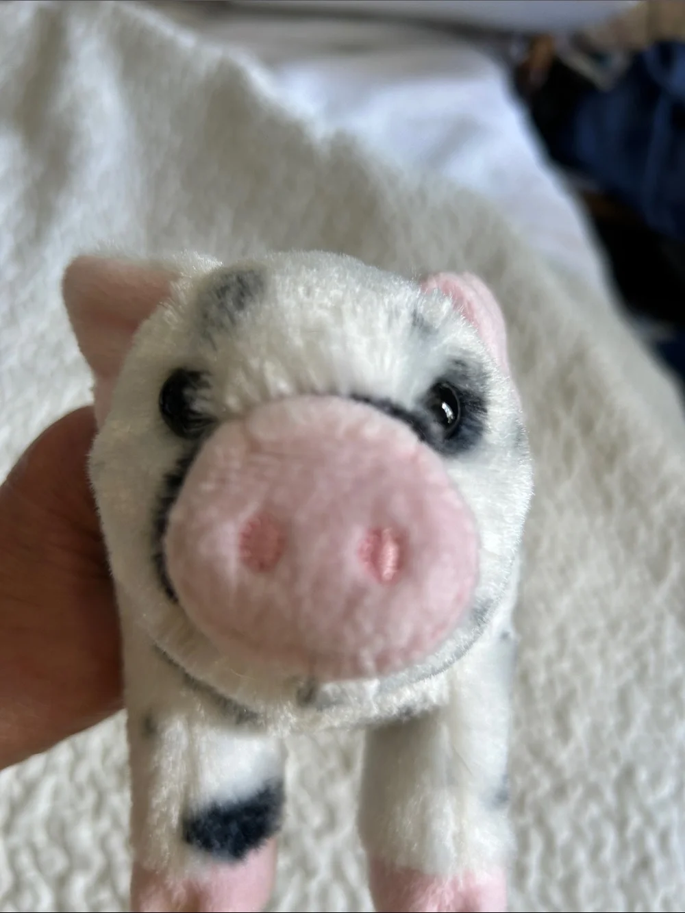 Douglas Plush Spotted Piglet Toy - White & Pink